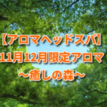 【アロマヘッドスパ】11月12月限定アロマ～癒しの森～