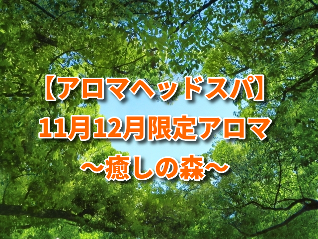 【アロマヘッドスパ】11月12月限定アロマ～癒しの森～