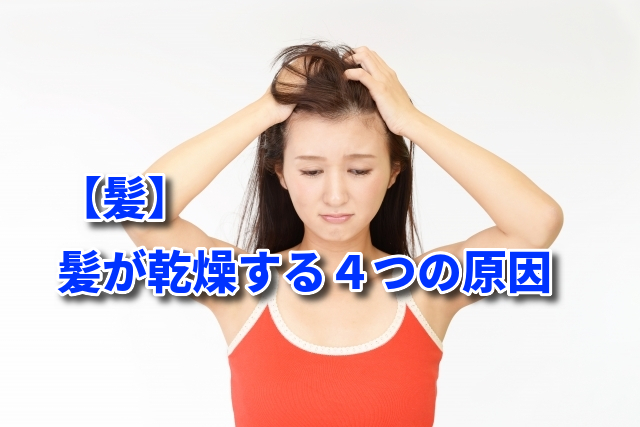 【髪】髪が乾燥する４つの原因
