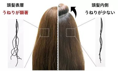 頭髪表面と内側のうねりの比較