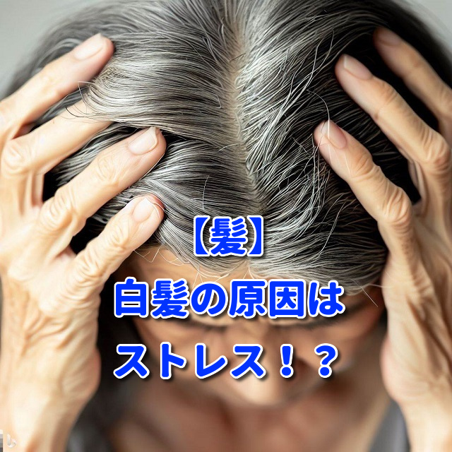 【髪】白髪の原因はストレス！？