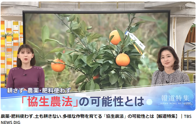 【家庭菜園】協生農法がテレビ特集された件　動画有