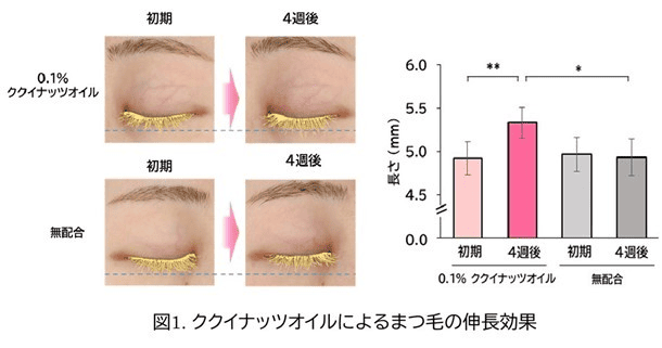 ククイナッツオイルによるまつ毛の伸長効果