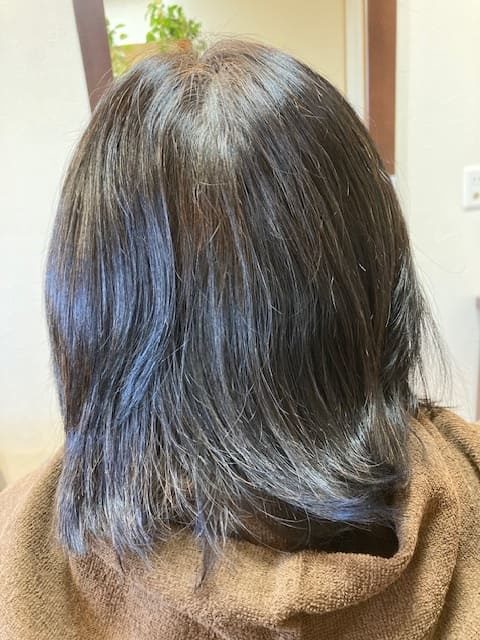 ハナヘナ染め前1