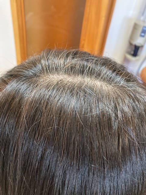 ハナヘナ染め前2