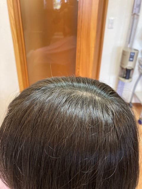 ハナヘナ染め後2