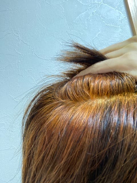 国産ヘナとターメリックのミックス染め後2