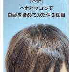 【ヘナ】ヘナとウコンで白髪を染めてみた件 ３回目