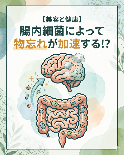 【美容と健康】腸内細菌によって物忘れが加速する！？
